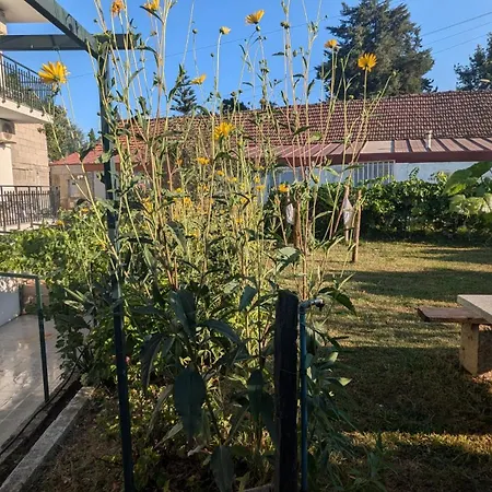 בית הארחה Casa Do Olival