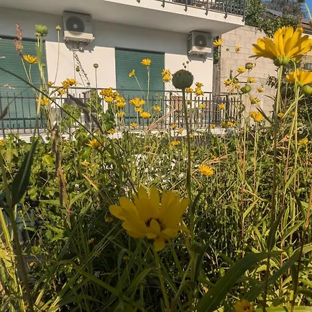 Casa Do Olival 3* 比索达雷加