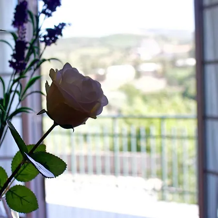 Casa Do Olival 比索达雷加