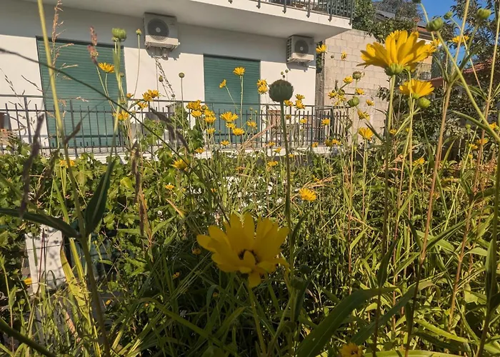 Casa Do Olival 3* Peso da Régua