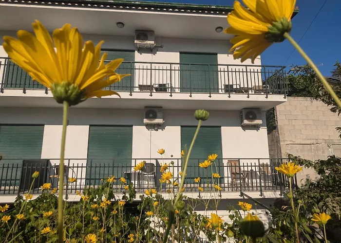 Casa Do Olival Guest house