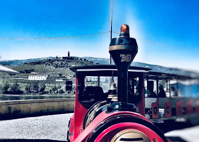 Casa Do Olival Guest house Peso da Regua