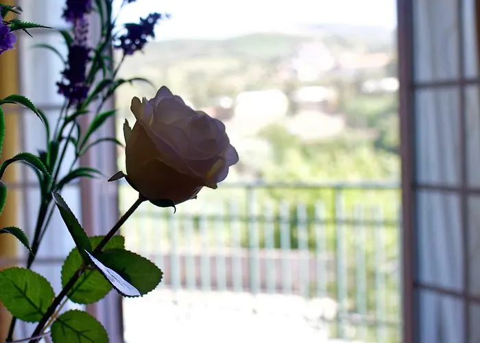 Casa Do Olival Peso da Régua